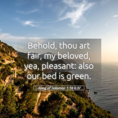 Picture 05 - Song of Solomon 1:16 KJV - Behold, thou art fair, my beloved, yea, pleasant: - Bible Verse Picture