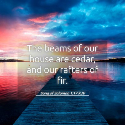 Picture 05 - Song of Solomon 1:17 KJV - The beams of our house are cedar, and our rafters - Bible Verse Picture