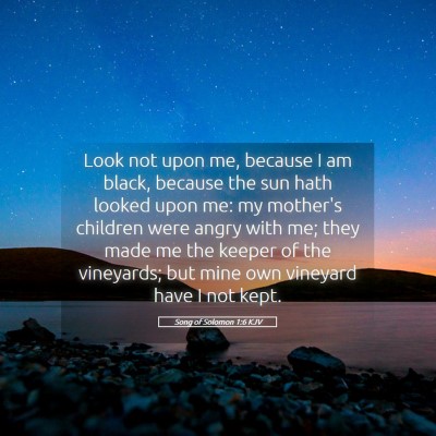 Picture 05 - Song of Solomon 1:6 KJV - Look not upon me, because I am black, because the - Bible Verse Picture