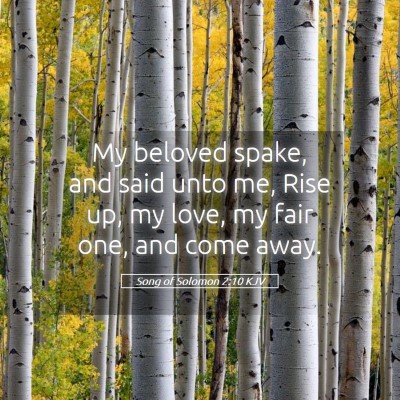 Picture 05 - Song of Solomon 2:10 KJV - My beloved spake, and said unto me, Rise up, my - Bible Verse Picture