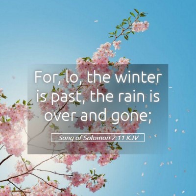 Picture 05 - Song of Solomon 2:11 KJV - For, lo, the winter is past, the rain is over and - Bible Verse Picture