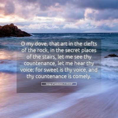 Picture 05 - Song of Solomon 2:14 KJV - O my dove, that art in the clefts of the rock, in - Bible Verse Picture