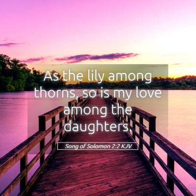 Picture 05 - Song of Solomon 2:2 KJV - As the lily among thorns, so is my love among the - Bible Verse Picture