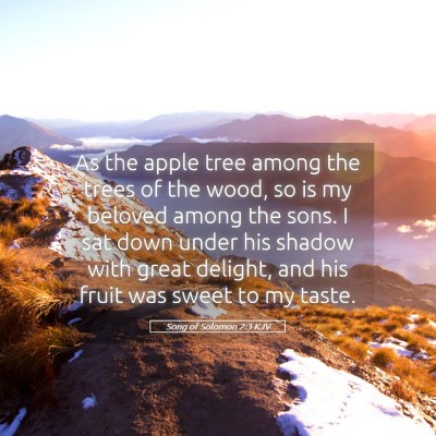 Picture 05 - Song of Solomon 2:3 KJV - As the apple tree among the trees of the wood, so - Bible Verse Picture