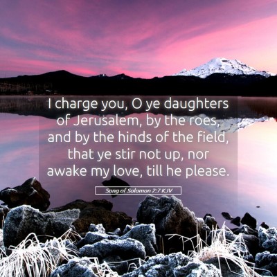 Picture 05 - Song of Solomon 2:7 KJV - I charge you, O ye daughters of Jerusalem, by the - Bible Verse Picture