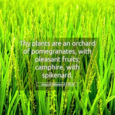 Picture 05 - Song of Solomon 4:13 KJV - Thy plants are an orchard of pomegranates, with - Bible Verse Picture