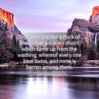 Picture 05 - Song of Solomon 4:2 KJV - Thy teeth are like a flock of sheep that are even - Bible Verse Picture