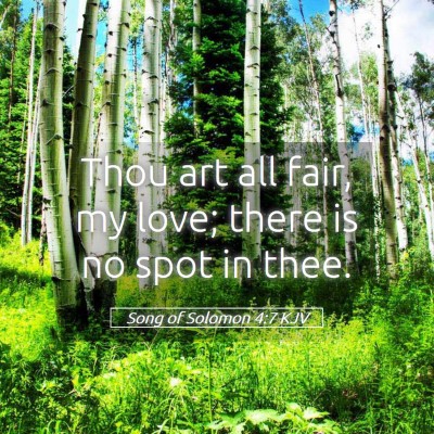 Picture 05 - Song of Solomon 4:7 KJV - Thou art all fair, my love; there is no spot in - Bible Verse Picture