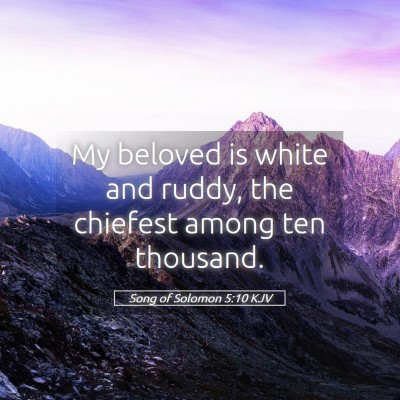 Picture 05 - Song of Solomon 5:10 KJV - My beloved is white and ruddy, the chiefest among - Bible Verse Picture