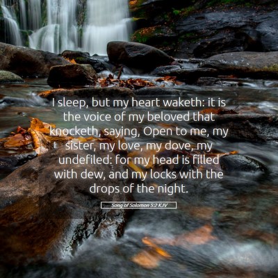 Picture 05 - Song of Solomon 5:2 KJV - I sleep, but my heart waketh: it is the voice of - Bible Verse Picture