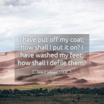 Picture 05 - Song of Solomon 5:3 KJV - I have put off my coat; how shall I put it on? I - Bible Verse Picture