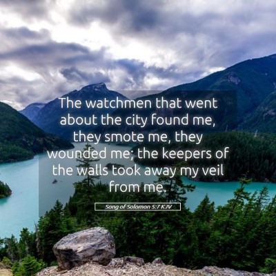 Picture 05 - Song of Solomon 5:7 KJV - The watchmen that went about the city found me, - Bible Verse Picture