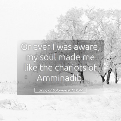 Picture 05 - Song of Solomon 6:12 KJV - Or ever I was aware, my soul made me like the - Bible Verse Picture