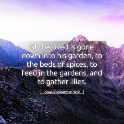 Picture 05 - Song of Solomon 6:2 KJV - My beloved is gone down into his garden, to the - Bible Verse Picture