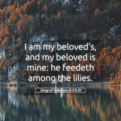 Picture 05 - Song of Solomon 6:3 KJV - I am my beloved's, and my beloved is mine: he - Bible Verse Picture