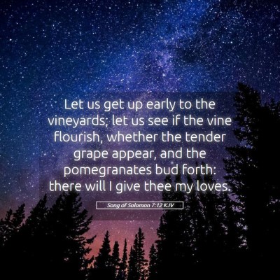 Picture 05 - Song of Solomon 7:12 KJV - Let us get up early to the vineyards; let us see - Bible Verse Picture
