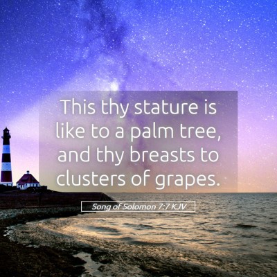 Picture 05 - Song of Solomon 7:7 KJV - This thy stature is like to a palm tree, and thy - Bible Verse Picture