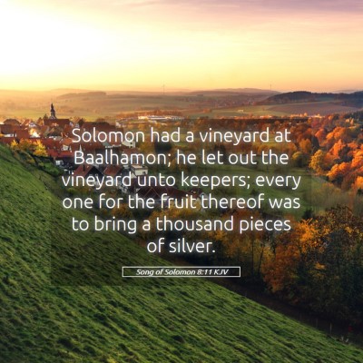 Picture 05 - Song of Solomon 8:11 KJV - Solomon had a vineyard at Baalhamon; he let out - Bible Verse Picture