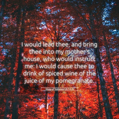 Picture 05 - Song of Solomon 8:2 KJV - I would lead thee, and bring thee into my - Bible Verse Picture