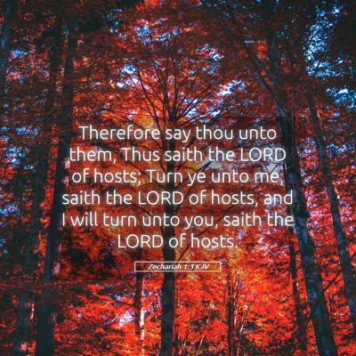 Picture 05 - Zechariah 1:3 KJV - Therefore say thou unto them, Thus saith the LORD - Bible Verse Picture