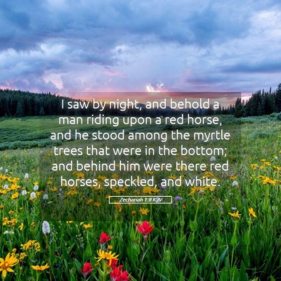 Picture 05 - Zechariah 1:8 KJV - I saw by night, and behold a man riding upon a - Bible Verse Picture