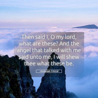 Picture 05 - Zechariah 1:9 KJV - Then said I, O my lord, what are these? And the - Bible Verse Picture