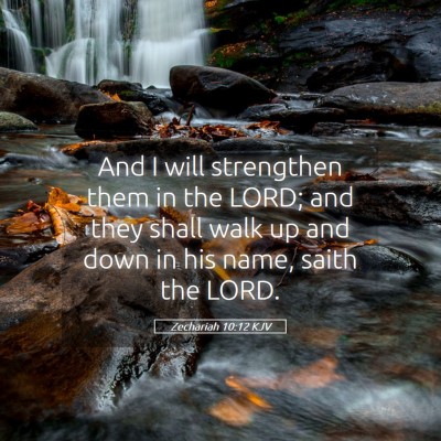 Picture 05 - Zechariah 10:12 KJV - And I will strengthen them in the LORD; and they - Bible Verse Picture
