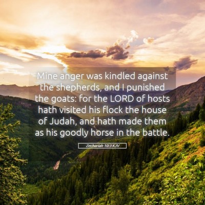 Picture 05 - Zechariah 10:3 KJV - Mine anger was kindled against the shepherds, and - Bible Verse Picture