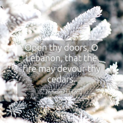 Picture 05 - Zechariah 11:1 KJV - Open thy doors, O Lebanon, that the fire may - Bible Verse Picture