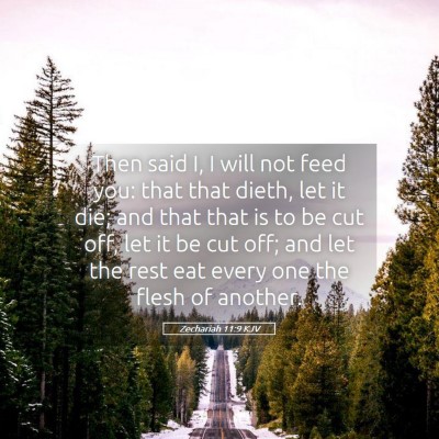 Picture 05 - Zechariah 11:9 KJV - Then said I, I will not feed you: that that - Bible Verse Picture