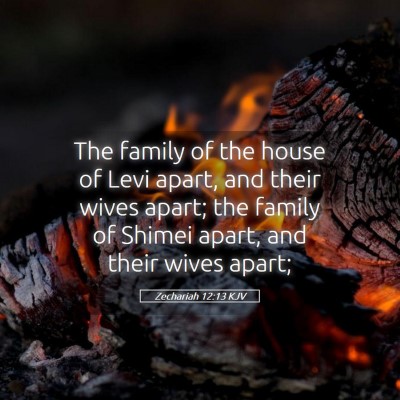 Picture 05 - Zechariah 12:13 KJV - The family of the house of Levi apart, and their - Bible Verse Picture