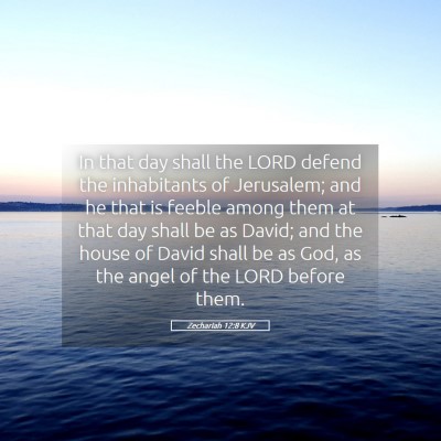 Picture 05 - Zechariah 12:8 KJV - In that day shall the LORD defend the inhabitants - Bible Verse Picture