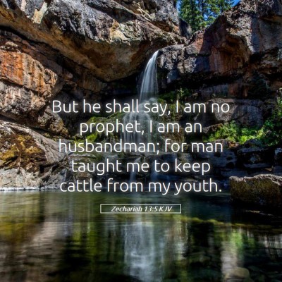 Picture 05 - Zechariah 13:5 KJV - But he shall say, I am no prophet, I am an - Bible Verse Picture