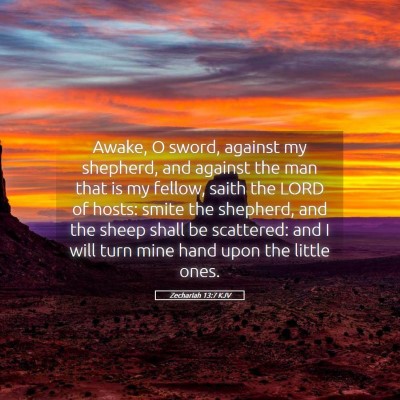 Picture 05 - Zechariah 13:7 KJV - Awake, O sword, against my shepherd, and against - Bible Verse Picture