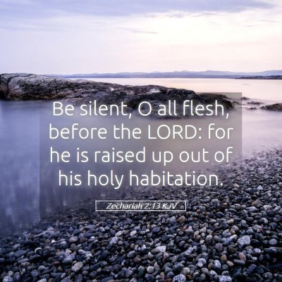 Picture 05 - Zechariah 2:13 KJV - Be silent, O all flesh, before the LORD: for he - Bible Verse Picture