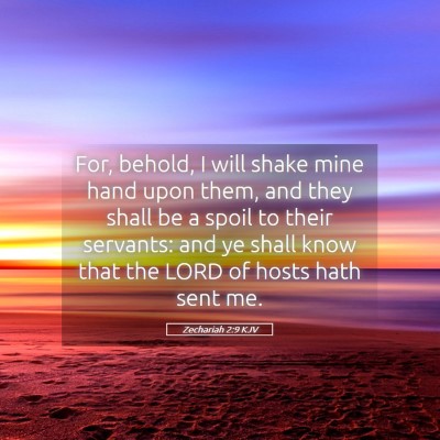Picture 05 - Zechariah 2:9 KJV - For, behold, I will shake mine hand upon them, - Bible Verse Picture