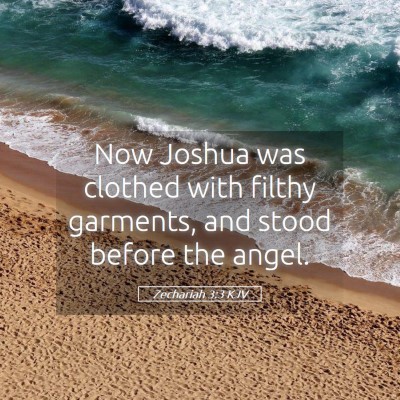 Picture 05 - Zechariah 3:3 KJV - Now Joshua was clothed with filthy garments, and - Bible Verse Picture