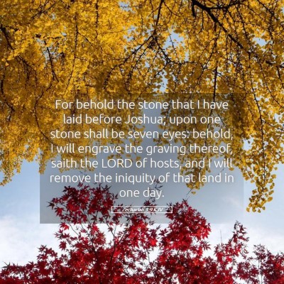 Picture 05 - Zechariah 3:9 KJV - For behold the stone that I have laid before - Bible Verse Picture