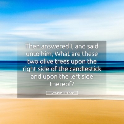 Picture 05 - Zechariah 4:11 KJV - Then answered I, and said unto him, What are - Bible Verse Picture