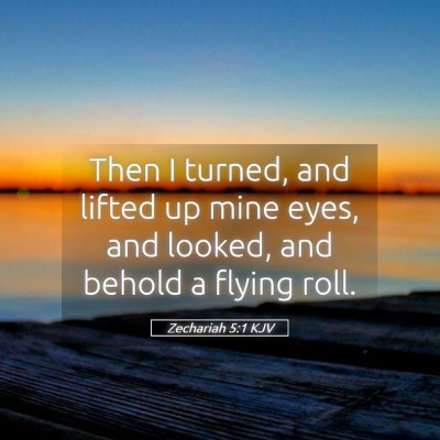 Picture 05 - Zechariah 5:1 KJV - Then I turned, and lifted up mine eyes, and - Bible Verse Picture