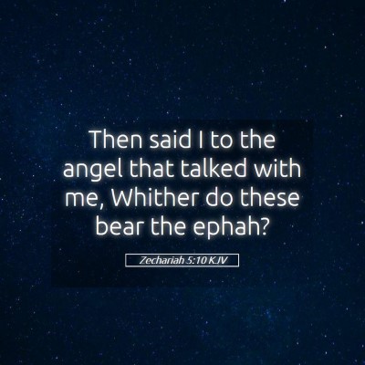 Picture 05 - Zechariah 5:10 KJV - Then said I to the angel that talked with me, - Bible Verse Picture