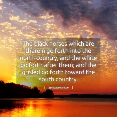 Picture 05 - Zechariah 6:6 KJV - The black horses which are therein go forth into - Bible Verse Picture