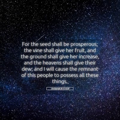 Picture 05 - Zechariah 8:12 KJV - For the seed shall be prosperous; the vine shall - Bible Verse Picture