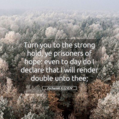 Picture 05 - Zechariah 9:12 KJV - Turn you to the strong hold, ye prisoners of - Bible Verse Picture