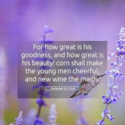 Picture 05 - Zechariah 9:17 KJV - For how great is his goodness, and how great is - Bible Verse Picture