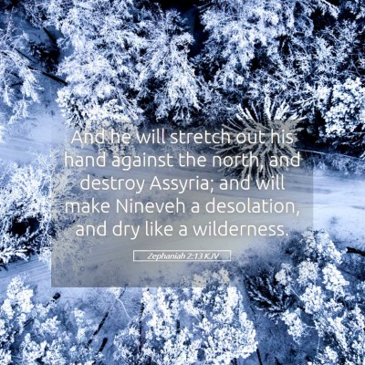 Picture 05 - Zephaniah 2:13 KJV - And he will stretch out his hand against the - Bible Verse Picture