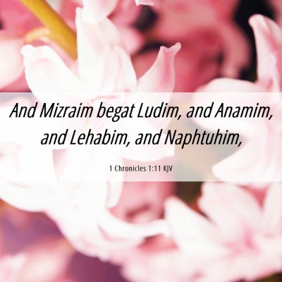 Picture 06 - 1 Chronicles 1:11 KJV - And Mizraim begat Ludim, and Anamim, and Lehabim, - Bible Verse Picture