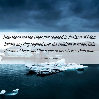 Picture 06 - 1 Chronicles 1:43 KJV - Now these are the kings that reigned in the land - Bible Verse Picture