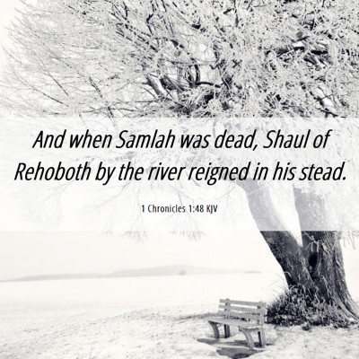 Picture 06 - 1 Chronicles 1:48 KJV - And when Samlah was dead, Shaul of Rehoboth by - Bible Verse Picture