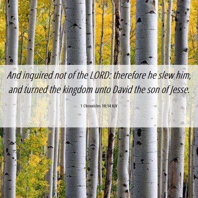 Picture 06 - 1 Chronicles 10:14 KJV - And inquired not of the LORD: therefore he slew - Bible Verse Picture
